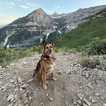 Sasha sitting on a rocky dirt trail in a patterned bandana, facing the camera, with green slopes and a layered, snow-streaked mountain peak behind her.